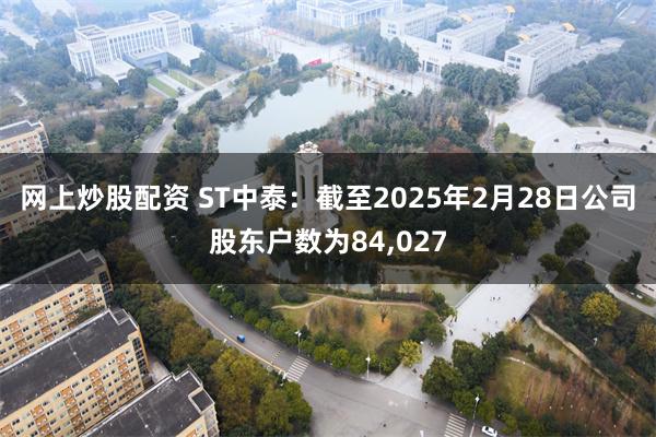 网上炒股配资 ST中泰：截至2025年2月28日公司股东户数为84,027