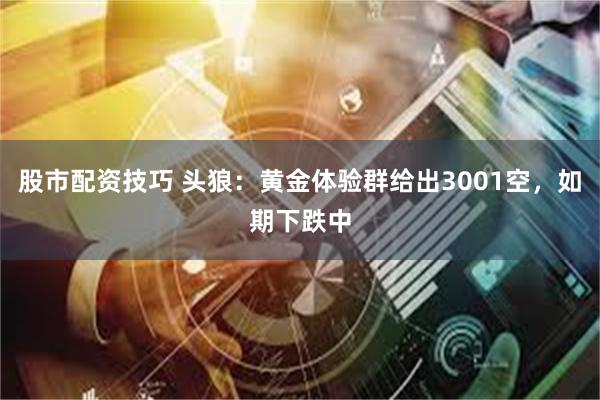 股市配资技巧 头狼：黄金体验群给出3001空，如期下跌中