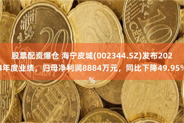 股票配资爆仓 海宁皮城(002344.SZ)发布2024年度业绩，归母净利润8884万元，同比下降49.95%