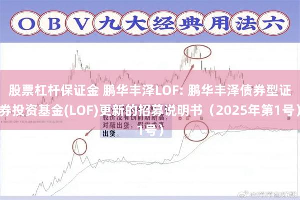 股票杠杆保证金 鹏华丰泽LOF: 鹏华丰泽债券型证券投资基金(LOF)更新的招募说明书(2025年第1号)