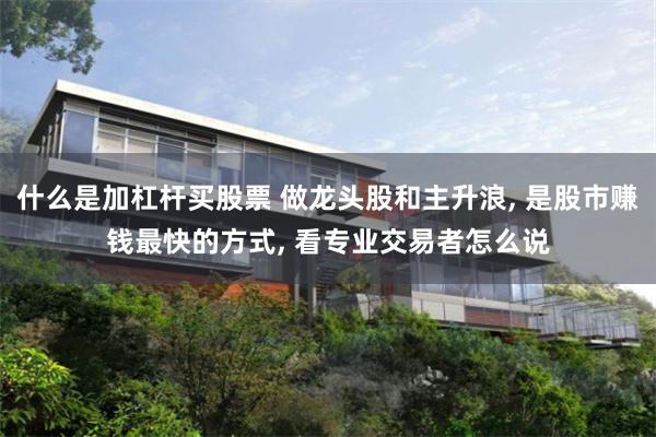 什么是加杠杆买股票 做龙头股和主升浪, 是股市赚钱最快的方式, 看专业交易者怎么说
