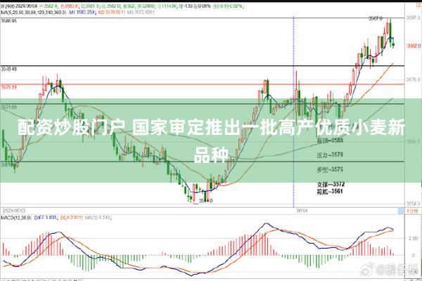 配资炒股门户 国家审定推出一批高产优质小麦新品种