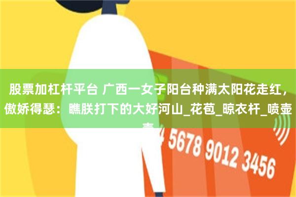 股票加杠杆平台 广西一女子阳台种满太阳花走红，傲娇得瑟：瞧朕打下的大好河山_花苞_晾衣杆_喷壶