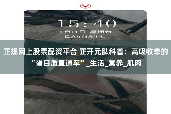 正规网上股票配资平台 正开元肽科普：高吸收率的“蛋白质直通车”_生活_营养_肌肉