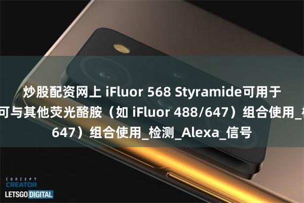 炒股配资网上 iFluor 568 Styramide可用于多重标记实验——可与其他荧光酪胺（如 iFluor 488/647）组合使用_检测_Alexa_信号