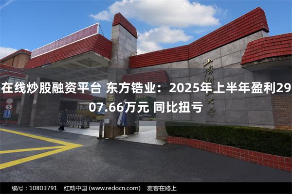 在线炒股融资平台 东方锆业：2025年上半年盈利2907.66万元 同比扭亏