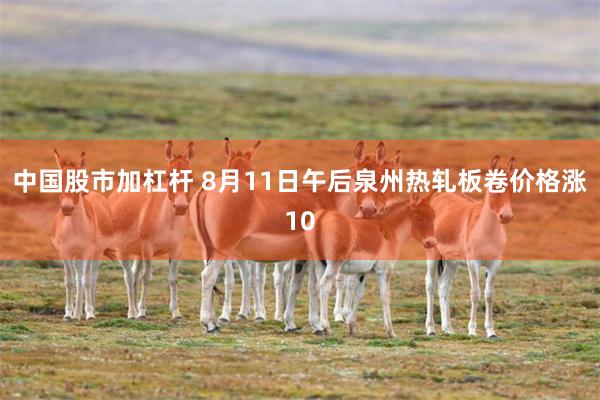 中国股市加杠杆 8月11日午后泉州热轧板卷价格涨10