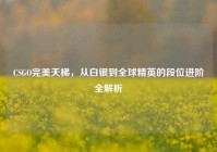 CSGO完美天梯，从白银到全球精英的段位进阶全解析