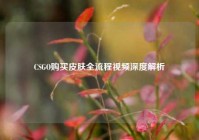 CSGO购买皮肤全流程视频深度解析