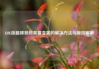 LOL技能释放时屏幕变黑的解决 *** 与原因解析