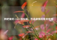网吧里的 CSGO 国际版，热血***的电竞世界