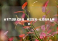 王者荣耀武器图鉴，高清图集+炫酷视频全解析