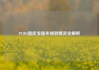 PUBG国庆宝箱未领到情况全解析