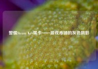 警惕Steam Key黑卡——游戏市场的灰色阴影