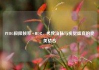 PUBG极限帧率+HDR，极致流畅与视觉盛宴的完美结合