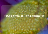 CF 枪战王者改名，踏上个性十足的游戏之旅