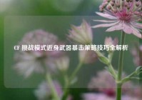 CF 挑战模式近身武器暴击策略技巧全解析