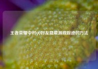 王者荣耀中对 *** 好友隐藏游戏踪迹的 *** 