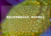 揭秘王者荣耀盖伦连招，助力称霸峡谷