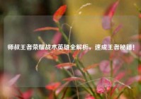 师叔王者荣耀战术英雄全解析，速成王者秘籍！