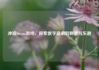冲浪Steam游戏，探索数字浪潮的 *** 与乐趣