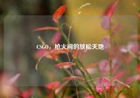 CSGO，枪火间的放松天地