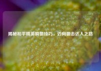 揭秘和平精英瞬狙技巧，迈向狙击达人之路