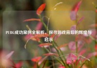 PUBG成功案例全解析，探寻游戏背后的辉煌与启示