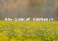 掌握PUBG鼠标压点技巧，精准提升射击水平