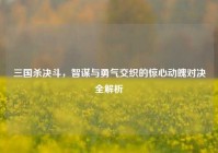 三国杀决斗，智谋与勇气交织的惊心动魄对决全解析