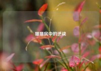 猫猫房中的逆战