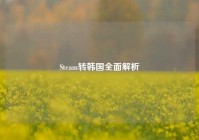 Steam转韩国全面解析