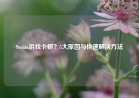 Steam游戏卡顿？5大原因与快速解决 *** 