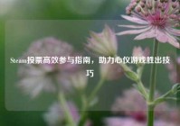 Steam投票高效参与指南，助力心仪游戏胜出技巧