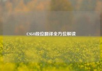 CSGO段位翻译全方位解读