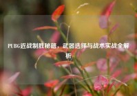 PUBG近战制胜秘籍，武器选择与战术实战全解析