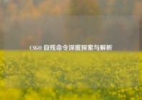 CSGO 自残命令深度探索与解析