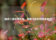 国战三国杀单机版，策略与历史的完美融合