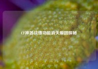 CF神器战绩功能消失原因探秘