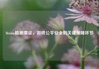 Steam检测票证，游戏公平安全的关键保障环节