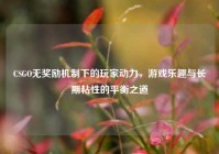CSGO无奖励机制下的玩家动力，游戏乐趣与长期粘性的平衡之道