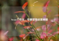 Steam个性化，专属壁纸设置秘籍