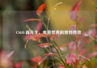 CSGO 森先生，电竞世界的独特传奇