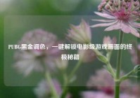 PUBG黑金调色，一键解锁电影级游戏画面的终极秘籍