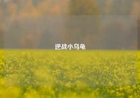 逆战小乌龟
