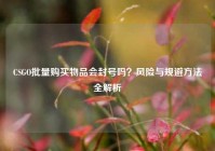CSGO批量购买物品会封号吗？风险与规避 *** 全解析