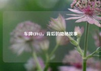 车牌CF043，背后的隐秘故事