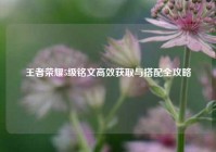 王者荣耀5级铭文高效获取与搭配全攻略