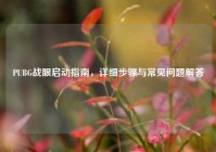 PUBG战眼启动指南，详细步骤与常见问题解答