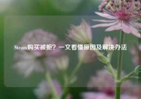 Steam购买被拒？一文看懂原因及解决办法